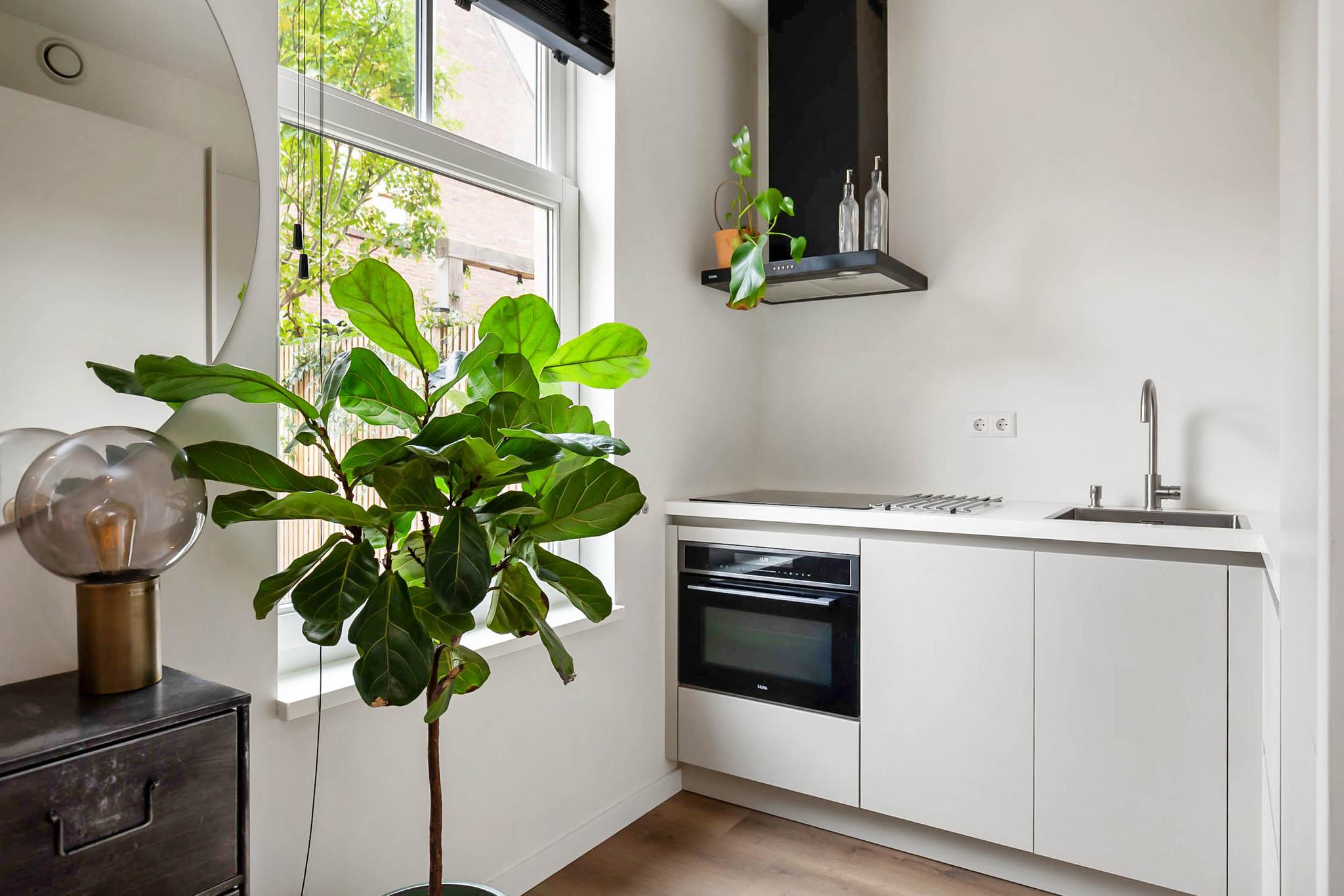 Begoniastraat 6 B, 1031 GM Amsterdam 4